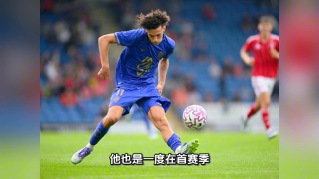 彼得罗维奇替补(切尔西外租门将彼得罗维奇评分) 彼得罗维奇替补(切尔西外租门将彼得罗维奇评分)